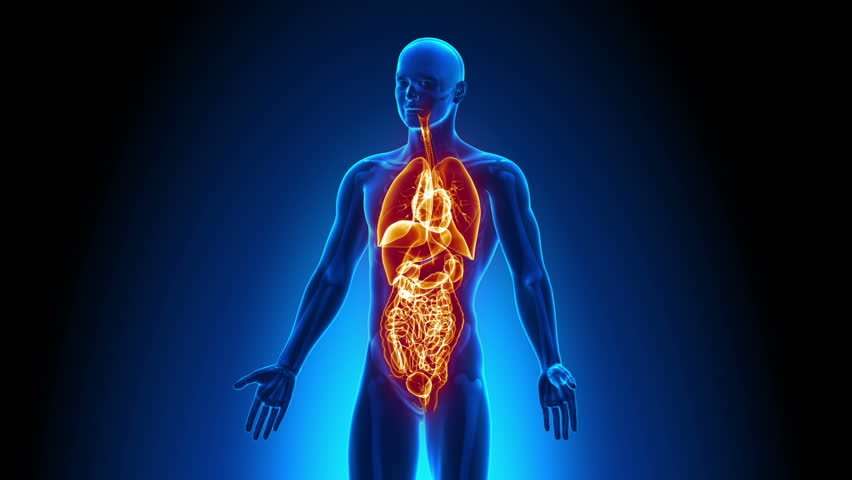 can you get a full-body scan